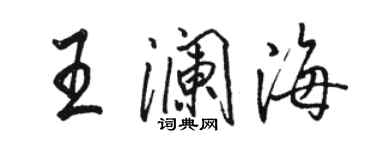 駱恆光王瀾海行書個性簽名怎么寫