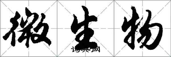 胡問遂微生物行書怎么寫