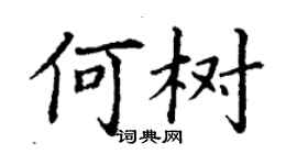 丁謙何樹楷書個性簽名怎么寫