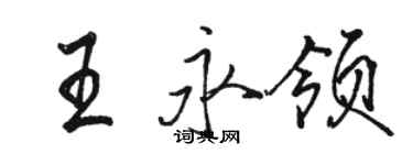 駱恆光王永領行書個性簽名怎么寫