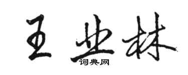 駱恆光王業林行書個性簽名怎么寫