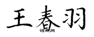 丁謙王春羽楷書個性簽名怎么寫
