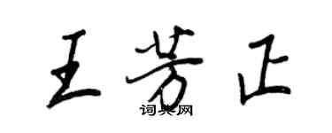 王正良王芳正行書個性簽名怎么寫