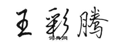 駱恆光王彩騰行書個性簽名怎么寫