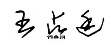 朱錫榮王占廷草書個性簽名怎么寫