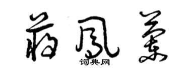 曾慶福蔣鳳蘭草書個性簽名怎么寫