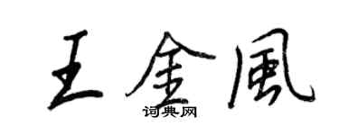王正良王金風行書個性簽名怎么寫