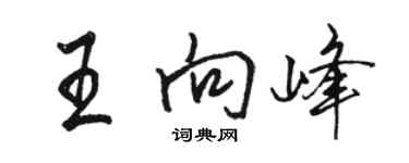 駱恆光王向峰行書個性簽名怎么寫