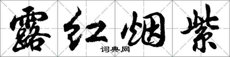 胡問遂露紅煙紫行書怎么寫