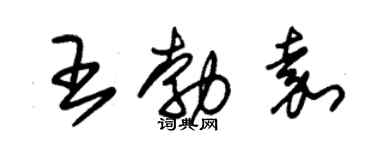 朱錫榮王勃嘉草書個性簽名怎么寫