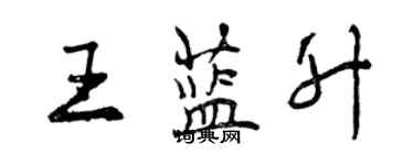 曾慶福王藍升行書個性簽名怎么寫