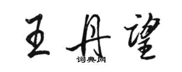 駱恆光王丹望行書個性簽名怎么寫