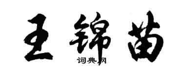 胡問遂王錦苗行書個性簽名怎么寫