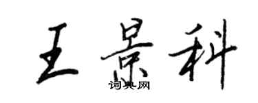 王正良王景科行書個性簽名怎么寫