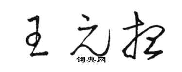 駱恆光王元想草書個性簽名怎么寫