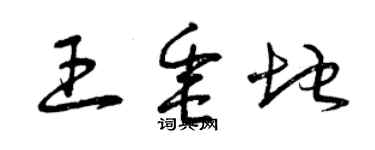 曾慶福王垂地草書個性簽名怎么寫