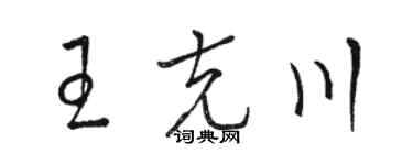 駱恆光王克川草書個性簽名怎么寫