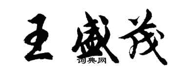 胡問遂王盛茂行書個性簽名怎么寫