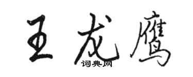 駱恆光王龍鷹行書個性簽名怎么寫