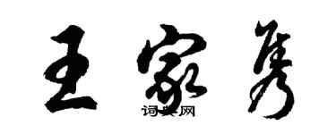 胡問遂王家雋行書個性簽名怎么寫