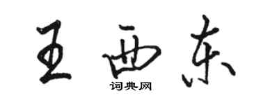 駱恆光王西東行書個性簽名怎么寫