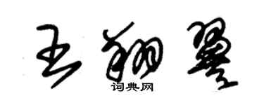 朱錫榮王翔翼草書個性簽名怎么寫