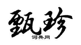 胡問遂甄珍行書個性簽名怎么寫