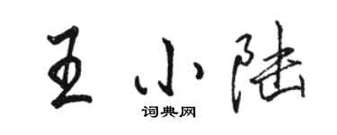 駱恆光王小陸行書個性簽名怎么寫