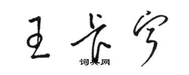 駱恆光王卡寧草書個性簽名怎么寫