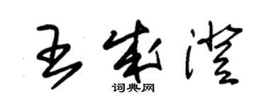 朱錫榮王成澄草書個性簽名怎么寫