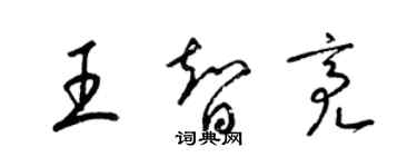 梁錦英王智亮草書個性簽名怎么寫