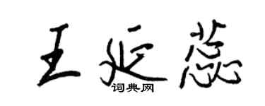 王正良王延蕊行書個性簽名怎么寫