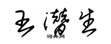 朱錫榮王潛生草書個性簽名怎么寫