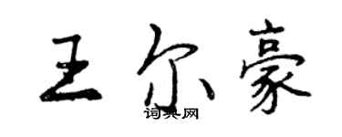 曾慶福王爾豪行書個性簽名怎么寫