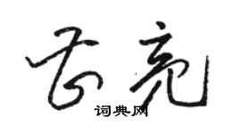 駱恆光曹亮草書個性簽名怎么寫