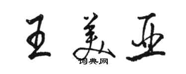 駱恆光王美亞行書個性簽名怎么寫