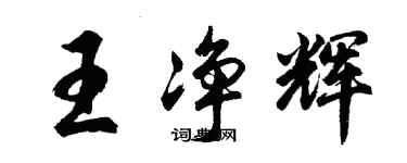 胡問遂王淨輝行書個性簽名怎么寫