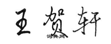 駱恆光王賀軒行書個性簽名怎么寫