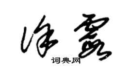 朱錫榮徐霞草書個性簽名怎么寫