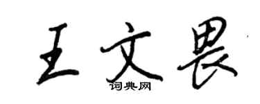 王正良王文畏行書個性簽名怎么寫