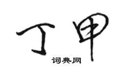 駱恆光丁甲行書個性簽名怎么寫