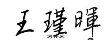 王正良王瑾暉行書個性簽名怎么寫