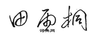 駱恆光田雨桐草書個性簽名怎么寫