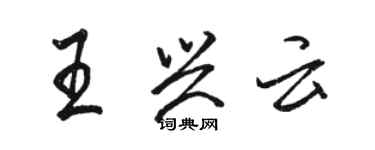 駱恆光王興雲行書個性簽名怎么寫