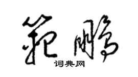 梁錦英范鵬草書個性簽名怎么寫