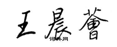 王正良王晨薈行書個性簽名怎么寫