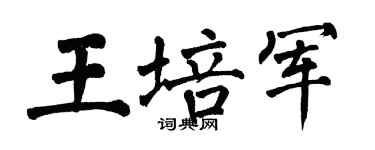 翁闓運王培軍楷書個性簽名怎么寫