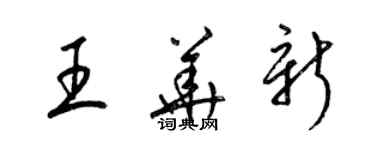 梁錦英王華新草書個性簽名怎么寫
