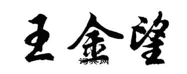 胡問遂王金望行書個性簽名怎么寫