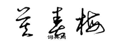 曾慶福莫春梅草書個性簽名怎么寫